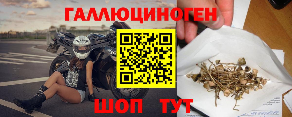Псилоцибиновые грибы Cubensis Чита